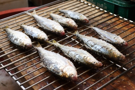 2011 서천 홍원항 전어꽃게 축제