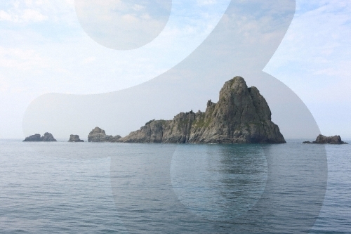 제4회 추자도 참굴비 축제