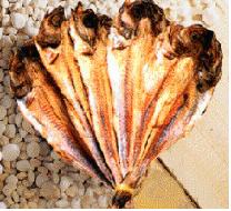 풍습 속의 명태