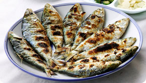 전어에 관한 '진실 혹은 거짓'