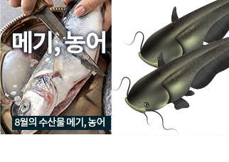 제철수산물
