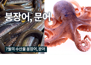 제철수산물