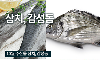 제철수산물