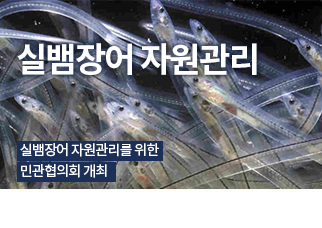 정책정보
